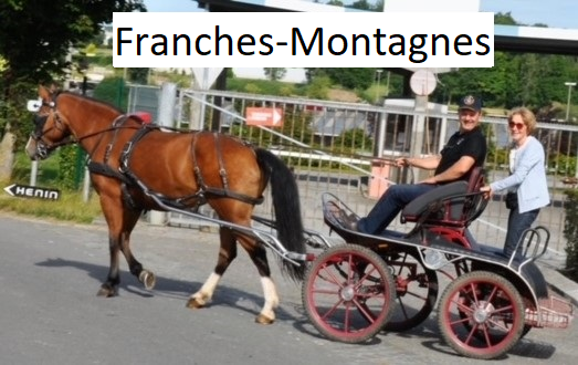 Franches-Montagnes